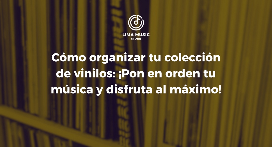 Cómo organizar tu colección de vinilos: ¡Pon en orden tu música y disfruta al máximo! 🎶✨